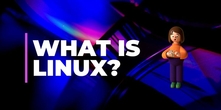 Linux Unleashed: Discover the Power of the World’s Most Versatile OS! 10 Reason Why It is Popular