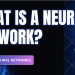 AI’s Secret Weapon: How Neural Networks Learn, Predict, and Dominate! 10 Types
